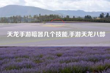 天龙手游暗器几个技能,手游天龙八部