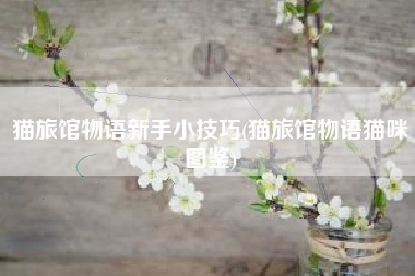 猫旅馆物语新手小技巧(猫旅馆物语猫咪图鉴)