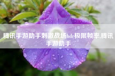 腾讯手游助手刺激战场hdr极限帧率,腾讯手游助手