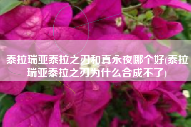泰拉瑞亚泰拉之刃和真永夜哪个好(泰拉瑞亚泰拉之刃为什么合成不了)