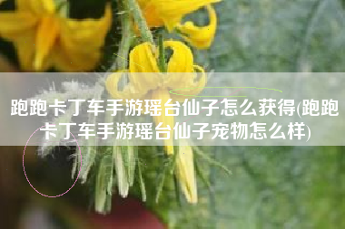跑跑卡丁车手游瑶台仙子怎么获得(跑跑卡丁车手游瑶台仙子宠物怎么样)