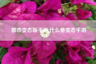 都市变态版手游,什么是变态手游