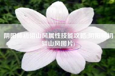 阴阳师初翎山风属性技能攻略(阴阳师初翎山风图片)