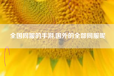 全国同服的手游,国外的全部同服呢