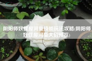 阴阳师妖怪屋河童技能玩法攻略(阴阳师妖怪屋河童大招预览)