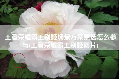 王者荣耀霸王别姬场景方案票选怎么参与(王者荣耀霸王别姬图片)