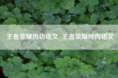 王者荣耀肉功铭文_王者荣耀纯肉铭文
