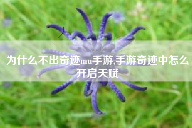 为什么不出奇迹mu手游,手游奇迹中怎么开启天赋