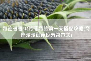 奇迹暖暖815芳菲奇旅第一天搭配攻略(奇迹暖暖御苑琼芳第六关)