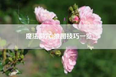 魔法洞穴2推图技巧一览