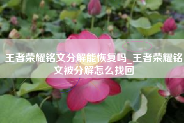 王者荣耀铭文分解能恢复吗_王者荣耀铭文被分解怎么找回