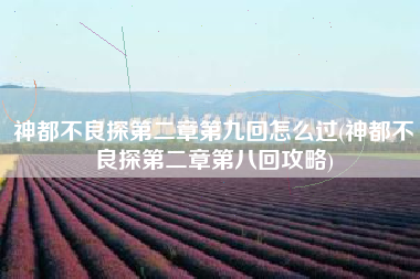 神都不良探第二章第九回怎么过(神都不良探第二章第八回攻略)