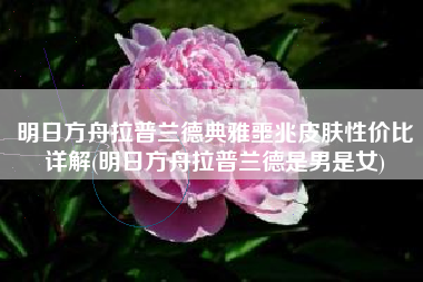 明日方舟拉普兰德典雅噩兆皮肤性价比详解(明日方舟拉普兰德是男是女)