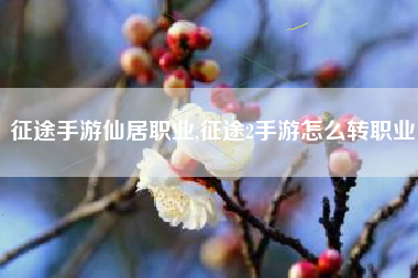 征途手游仙居职业,征途2手游怎么转职业