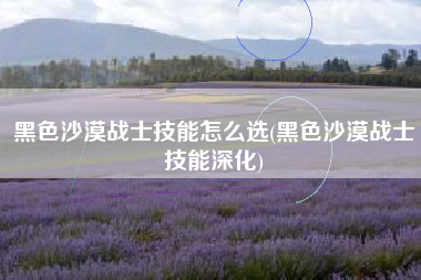 黑色沙漠战士技能怎么选(黑色沙漠战士技能深化)
