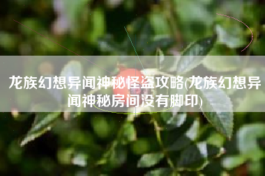 龙族幻想异闻神秘怪盗攻略(龙族幻想异闻神秘房间没有脚印)