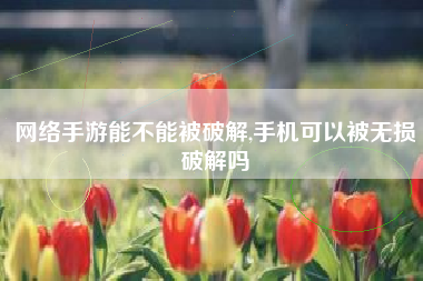 网络手游能不能被破解,手机可以被无损破解吗
