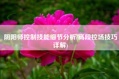 阴阳师控制技能细节分析(高段控场技巧详解)