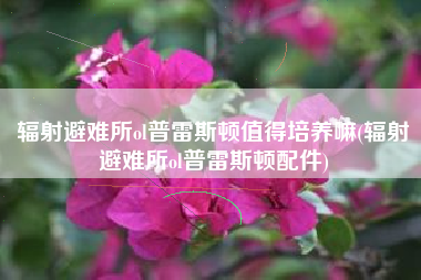 辐射避难所ol普雷斯顿值得培养嘛(辐射避难所ol普雷斯顿配件)