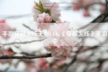 手游穿越火线无影CDK,《穿越火线》手游中