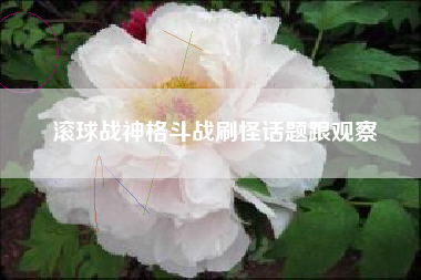 滚球战神格斗战刷怪话题跟观察
