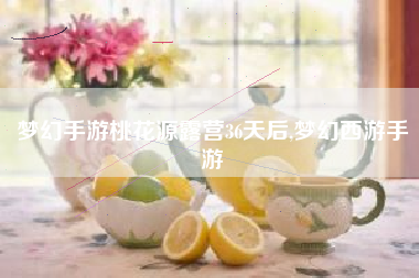梦幻手游桃花源露营36天后,梦幻西游手游