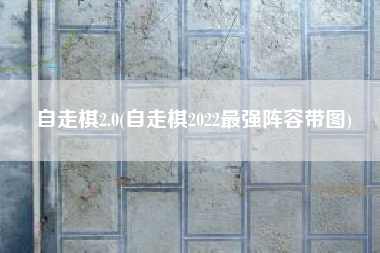 自走棋2.0(自走棋2022最强阵容带图)