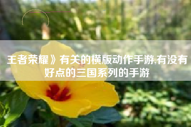 王者荣耀》有关的横版动作手游,有没有好点的三国系列的手游