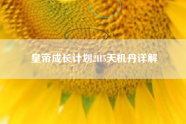 皇帝成长计划2H5天机丹详解