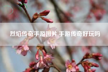 烈焰传奇手游图片,手游传奇好玩吗