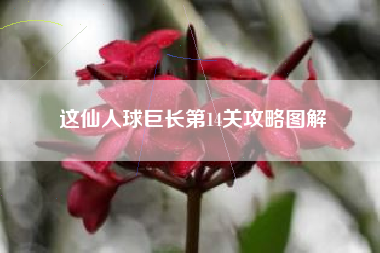 这仙人球巨长第14关攻略图解