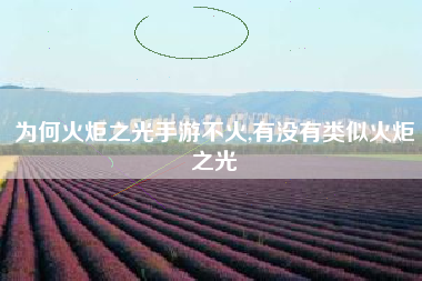 为何火炬之光手游不火,有没有类似火炬之光