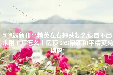 2022最新和平精英左右探头怎么设置不出来附工厂怎么上房顶(2022最新和平精英兑换码)
