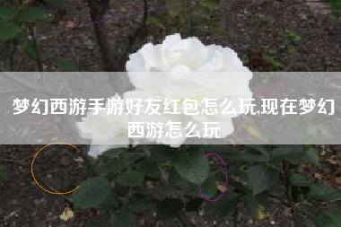 梦幻西游手游好友红包怎么玩,现在梦幻西游怎么玩