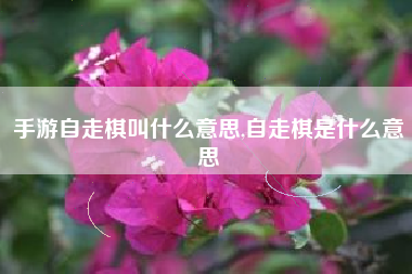 手游自走棋叫什么意思,自走棋是什么意思