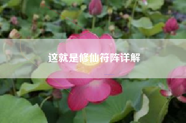 这就是修仙符阵详解