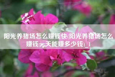 阳光养猪场怎么赚钱快(阳光养猪场怎么赚钱一天能赚多少钱)_1