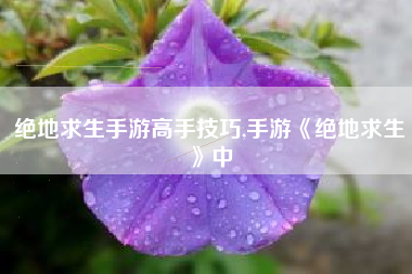 绝地求生手游高手技巧,手游《绝地求生》中