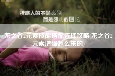 龙之谷2元素技能搭配选择攻略(龙之谷2元素增强怎么来的)