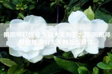 阴阳师妖怪屋少羽大天狗怎么样(阴阳师妖怪屋少羽大天狗怎么获得)