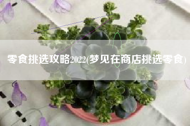 零食挑选攻略2022(梦见在商店挑选零食)