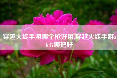 穿越火线手游哪个枪好用,穿越火线手游ak47哪把好