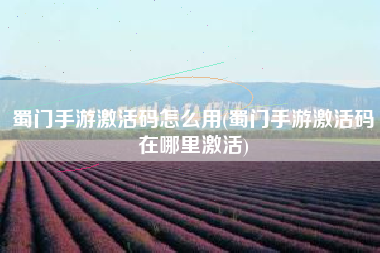 蜀门手游激活码怎么用(蜀门手游激活码在哪里激活)