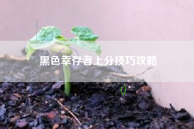 黑色幸存者上分技巧攻略