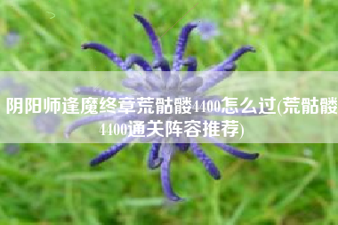 阴阳师逢魔终章荒骷髅4400怎么过(荒骷髅4400通关阵容推荐)