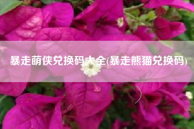 暴走萌侠兑换码大全(暴走熊猫兑换码)