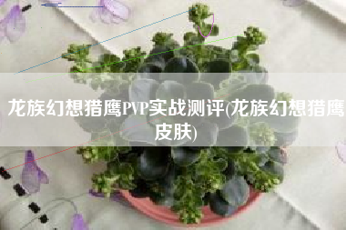 龙族幻想猎鹰PVP实战测评(龙族幻想猎鹰皮肤)