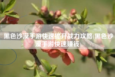 黑色沙漠手游快速提升战力攻略(黑色沙漠手游快速赚钱)