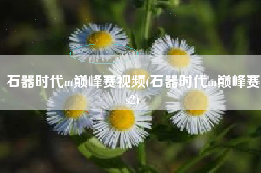 石器时代m巅峰赛视频(石器时代m巅峰赛s2)