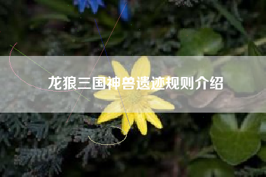 龙狼三国神兽遗迹规则介绍